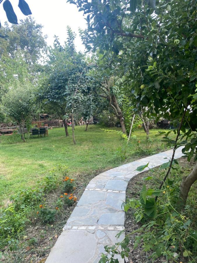 Xho'S Forest Guest House Berat Exterior photo